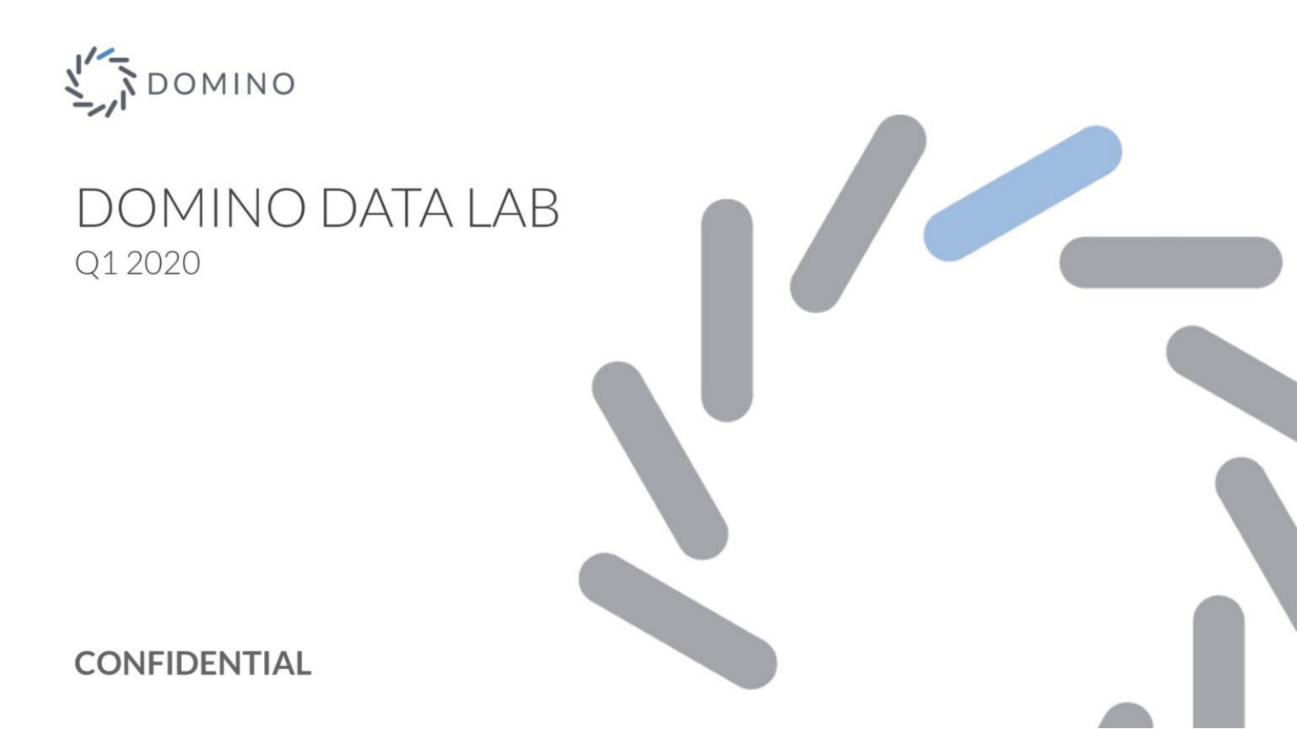 Domino Data Health pitch deck cover