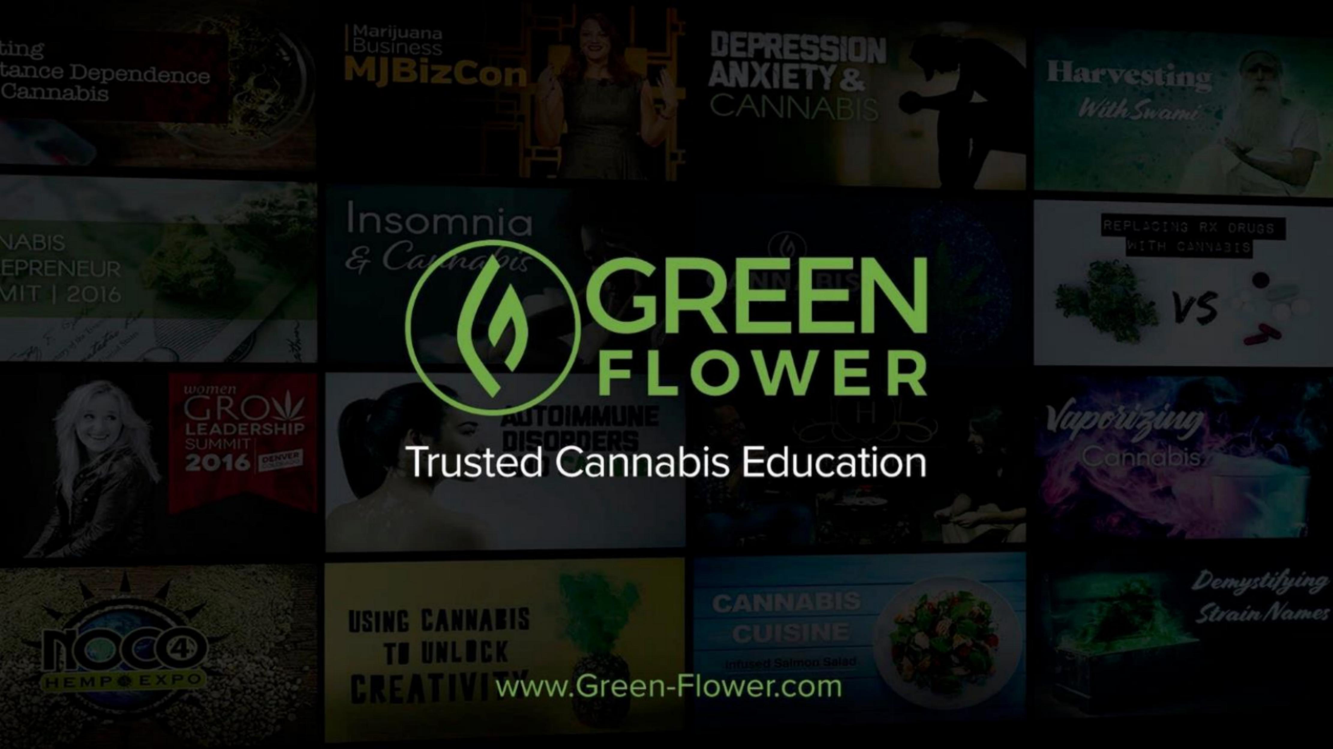 Green Flower Media pitch deck cover