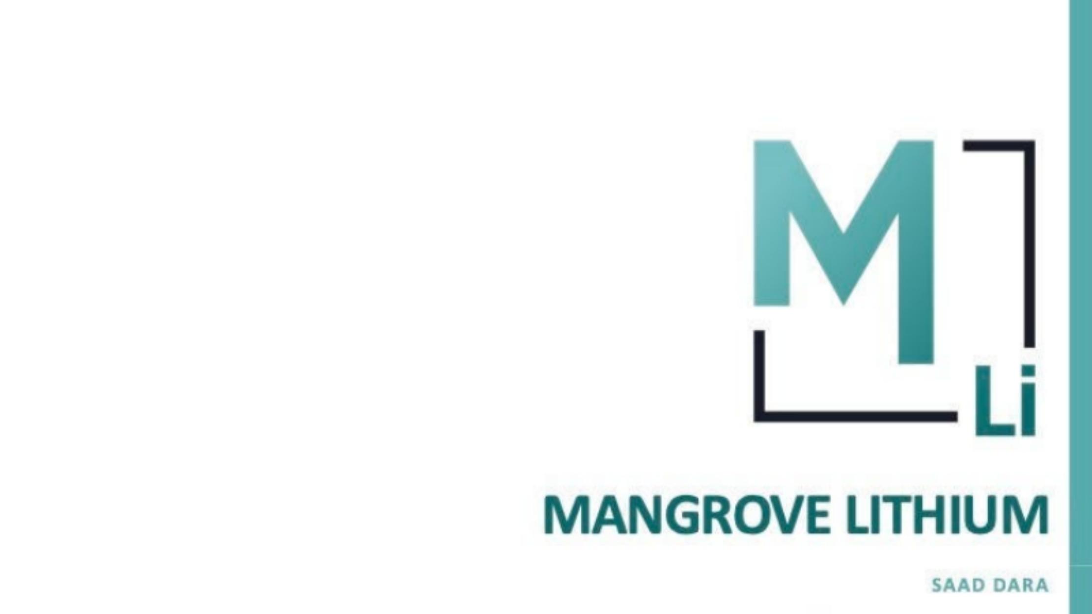 Mangrove Lithium pitch deck cover
