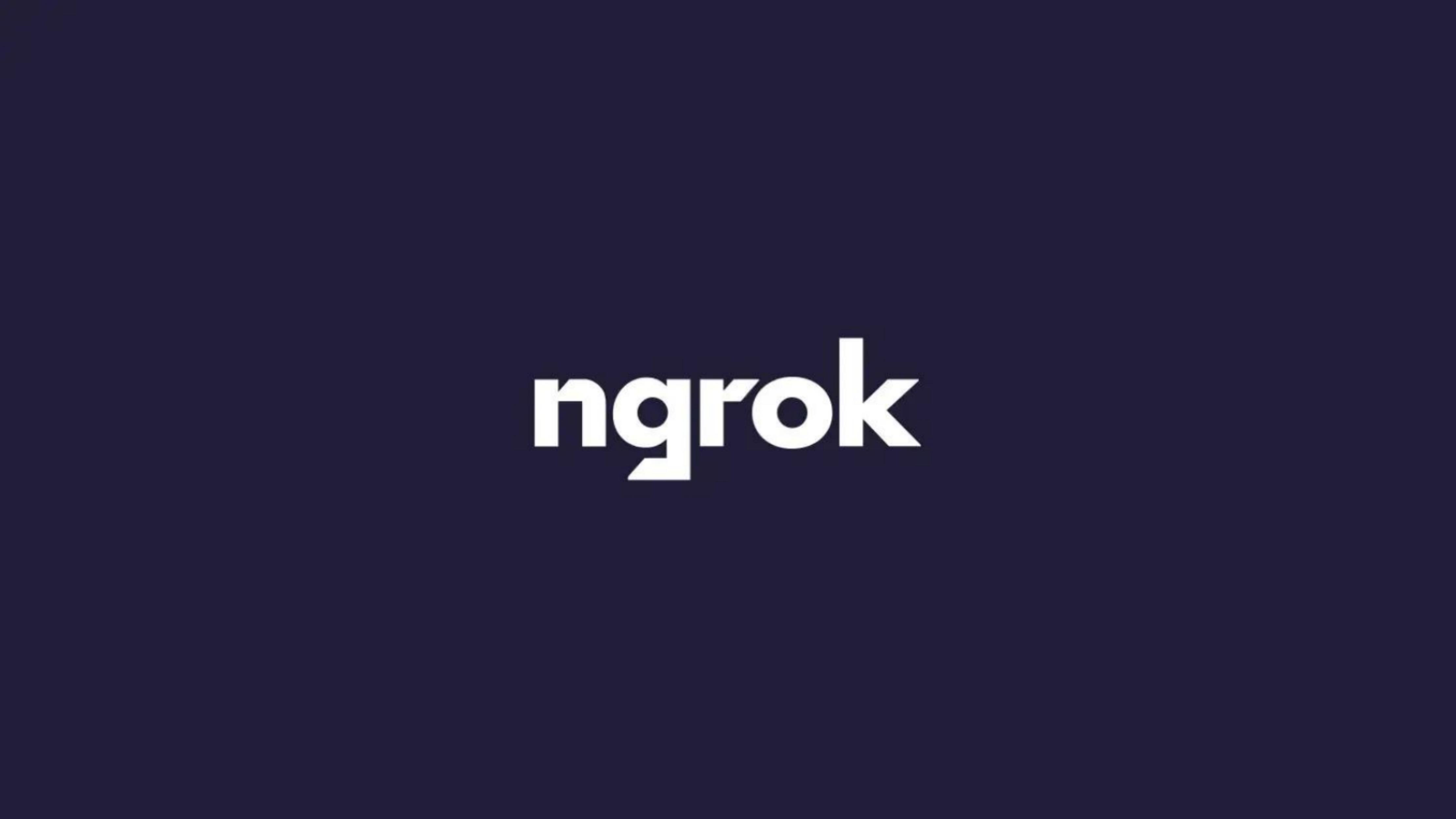 Ngrok pitch deck cover