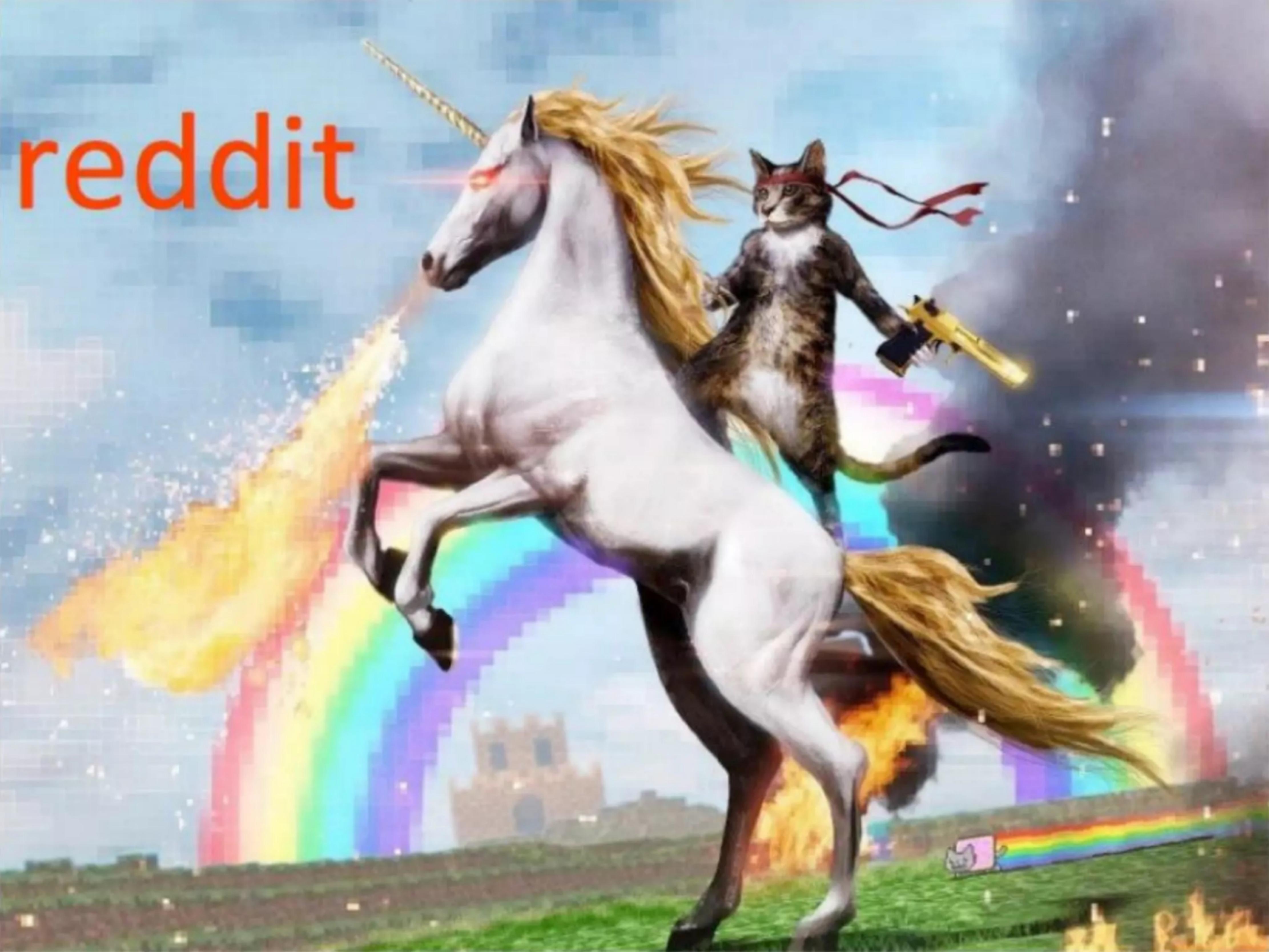 Reddit IPO Pitch Deck pitch deck cover