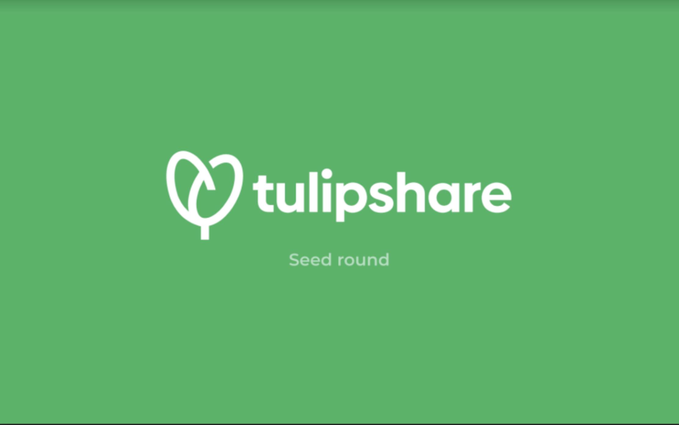 Tulipshare pitch deck cover
